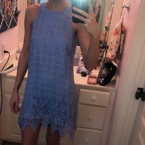 Blue Lace Knee Length dress from Francesca’s